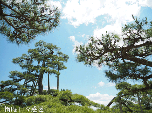 e0346064_16173412.gif
