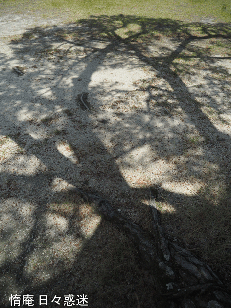 e0346064_16173543.gif