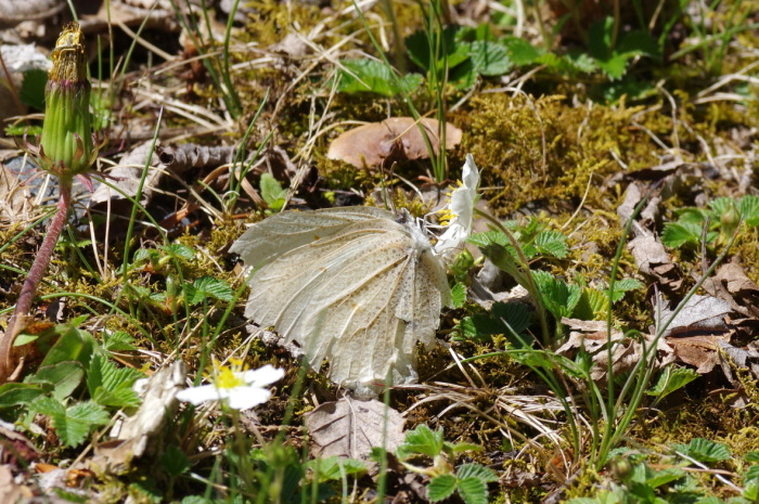 b0301570_05472563.jpg