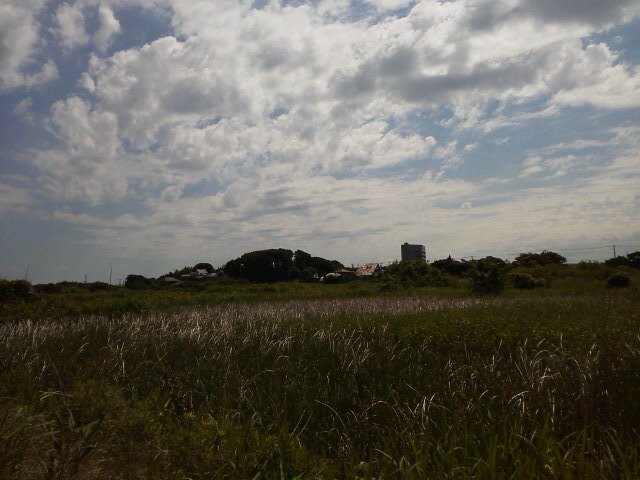 b0155973_13182876.jpg