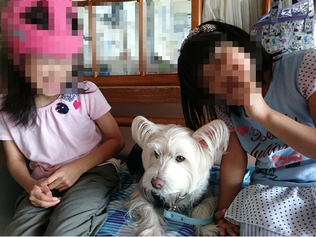 b0242873_23584814.png