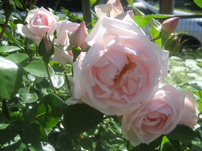 c0289473_11585768.jpg