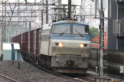 d0187275_10232238.jpg