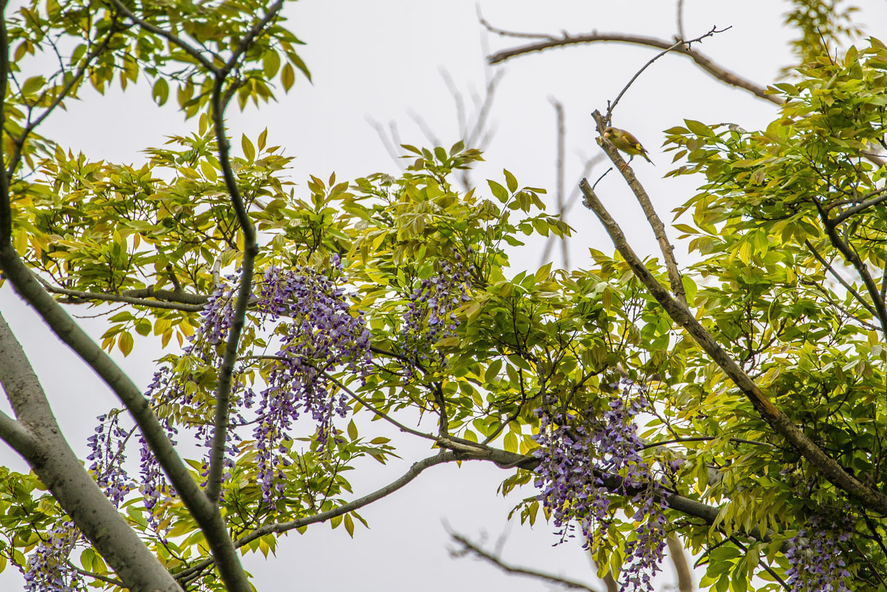 a0052080_23090094.jpg