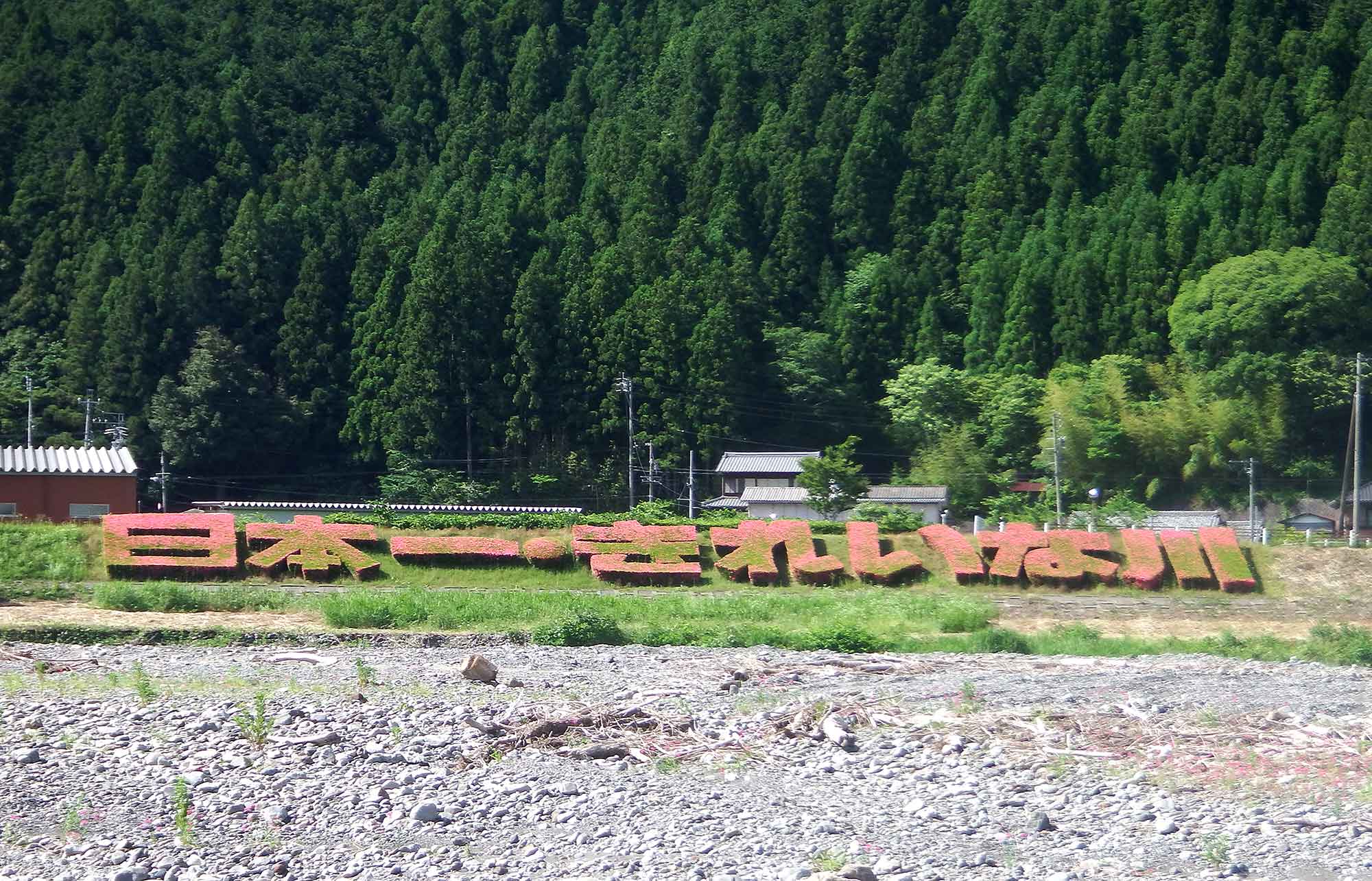 c0176183_1311122.jpg