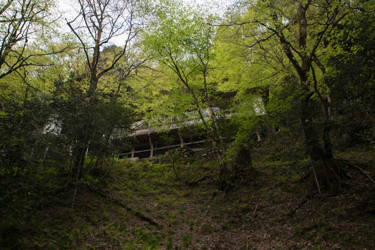 e0051888_6194264.jpg