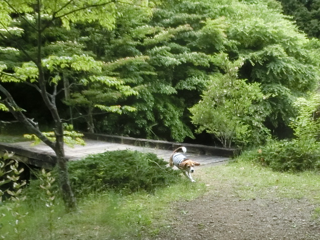 a0319693_814925.jpg