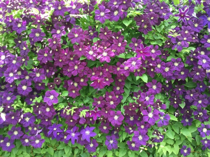 f0268294_22084773.jpg