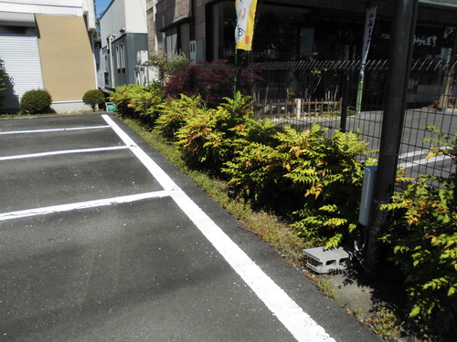 c0108198_18513660.jpg