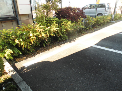 c0108198_18523540.jpg