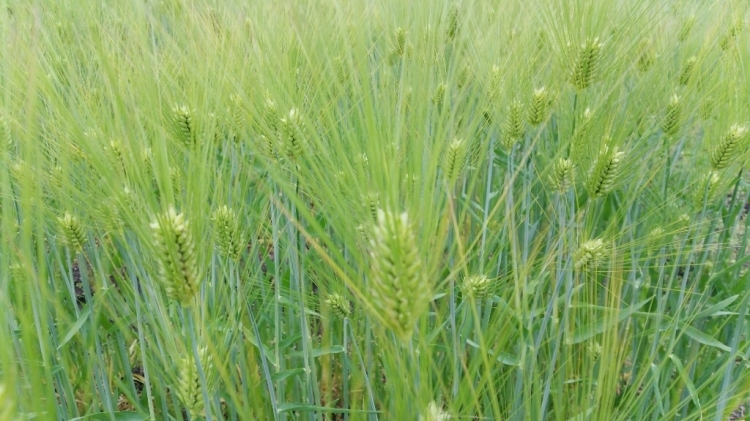 c0016208_07405418.jpg