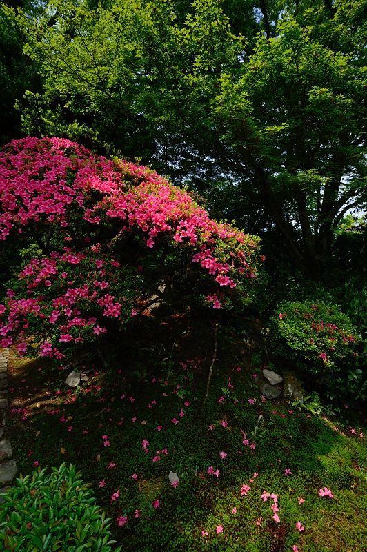 f0032011_20442835.jpg