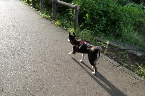 f0369014_04124254.jpg