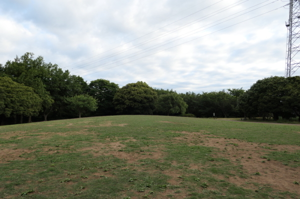 f0369014_10424748.jpg