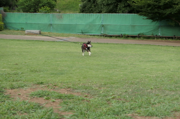 f0369014_10490515.jpg