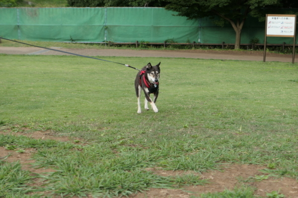 f0369014_10494524.jpg