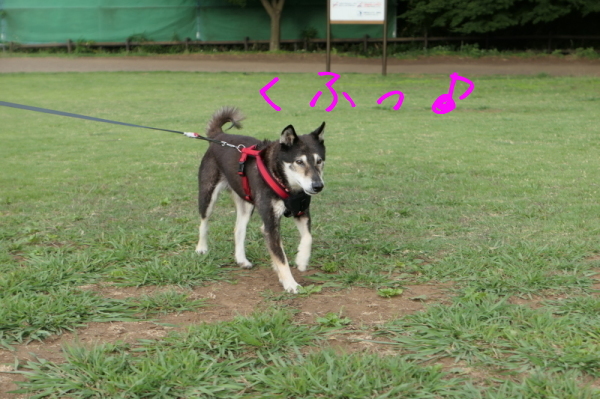 f0369014_10520222.jpg