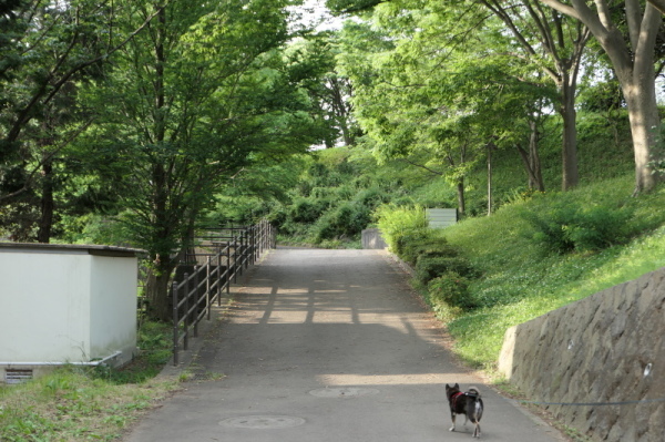 f0369014_10535118.jpg
