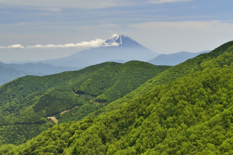 b0369916_19255437.jpg