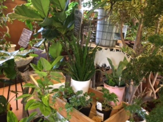 c0152816_2254053.jpg