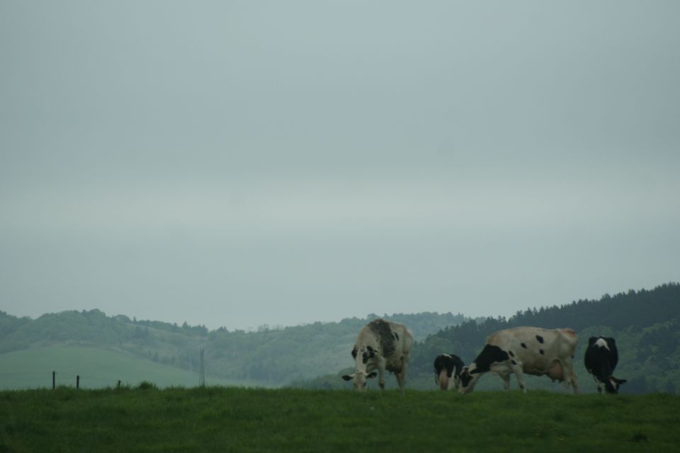 c0162516_14434289.jpg