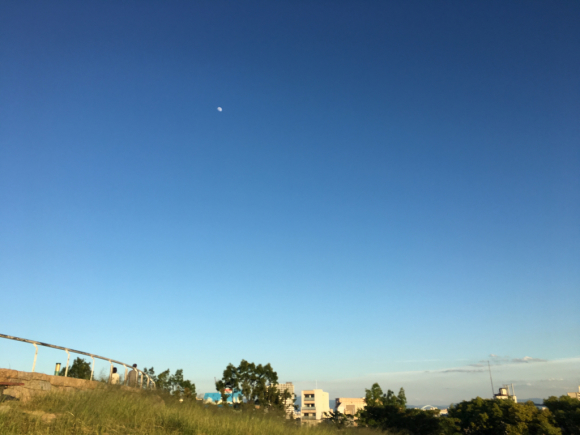 a0098418_10082069.jpg