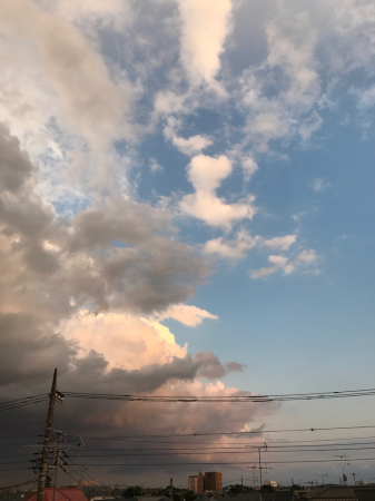 a0118918_00430417.jpg