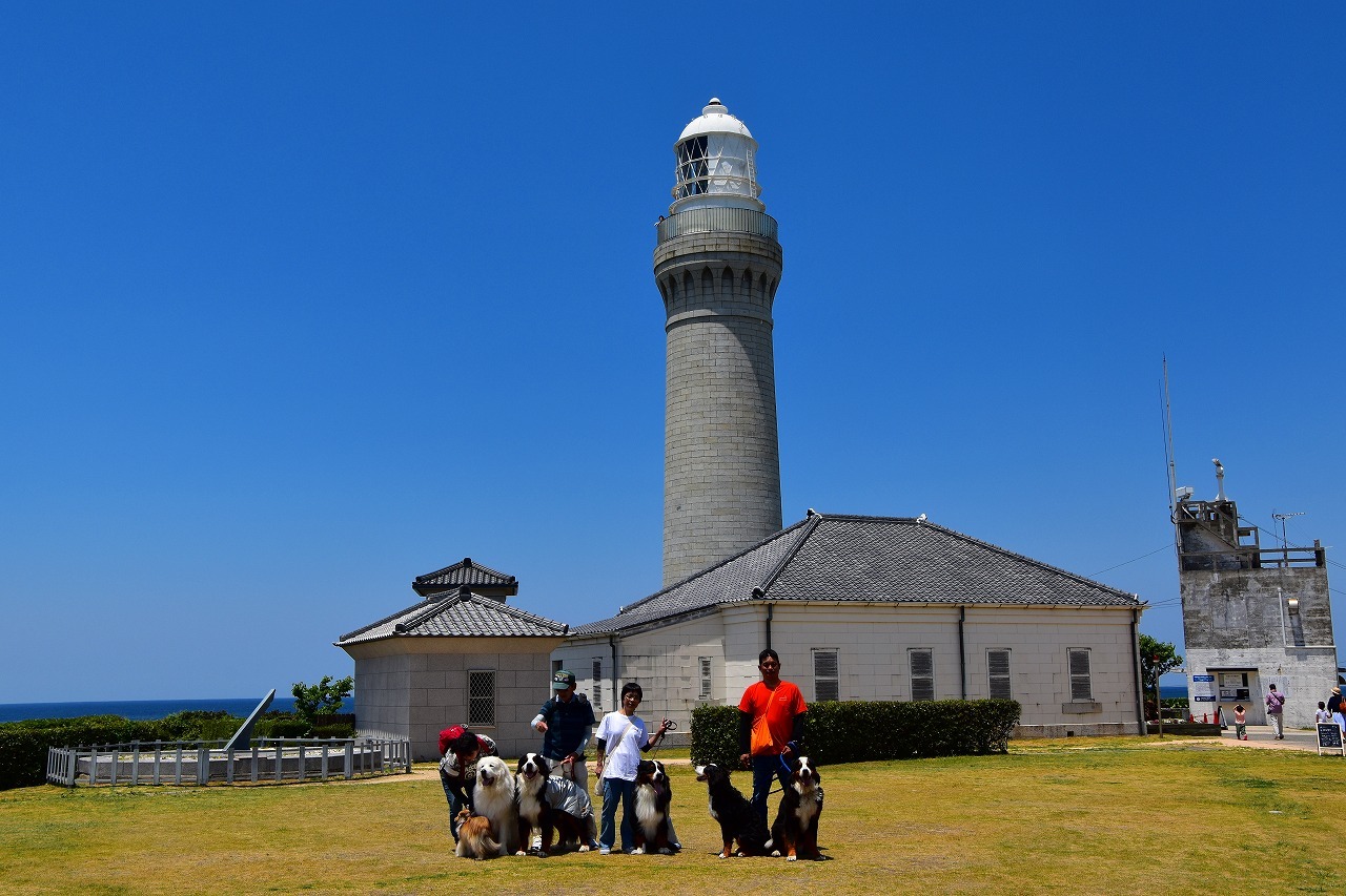 f0174419_11272155.jpg