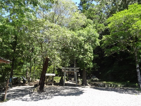 f0000521_08275136.jpg