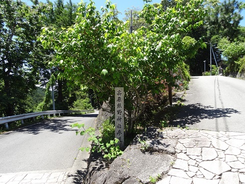 f0000521_22544461.jpg