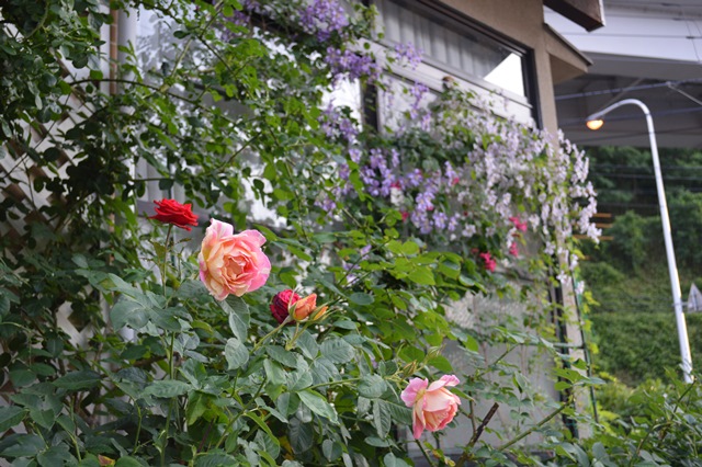 d0096422_20301175.jpg