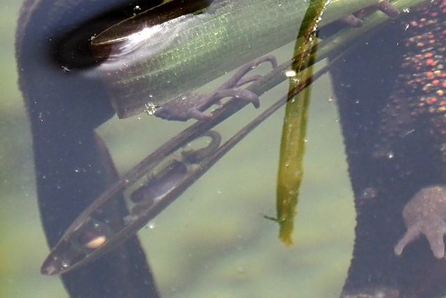 c0369423_22132747.jpg