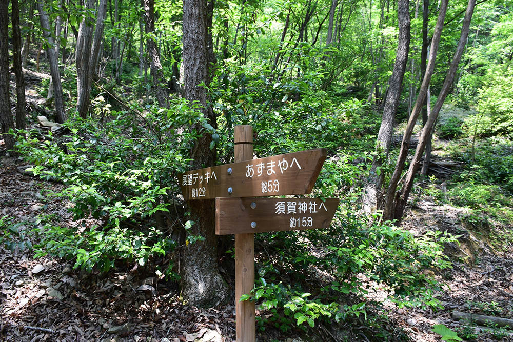 e0158128_21584034.jpg