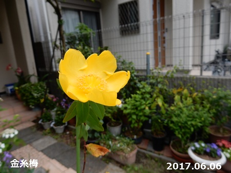 e0033229_18311049.jpg