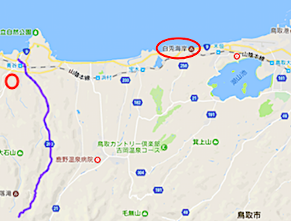 a0300530_13561809.png