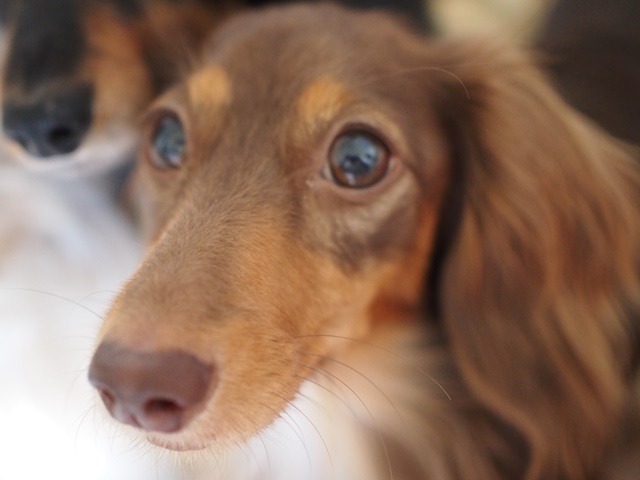 c0117831_14473971.jpg