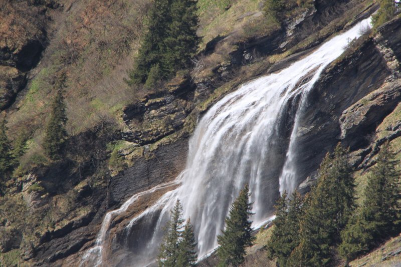 c0355331_11502329.jpg
