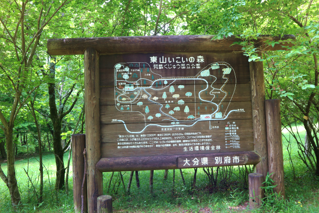 e0272335_18304153.jpg