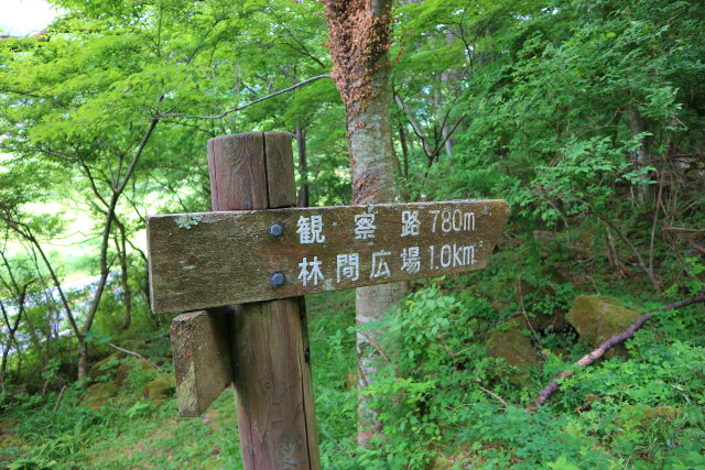 e0272335_1922418.jpg