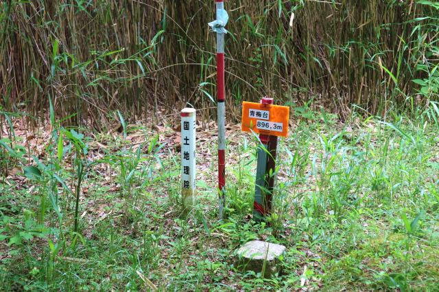 e0272335_19315087.jpg