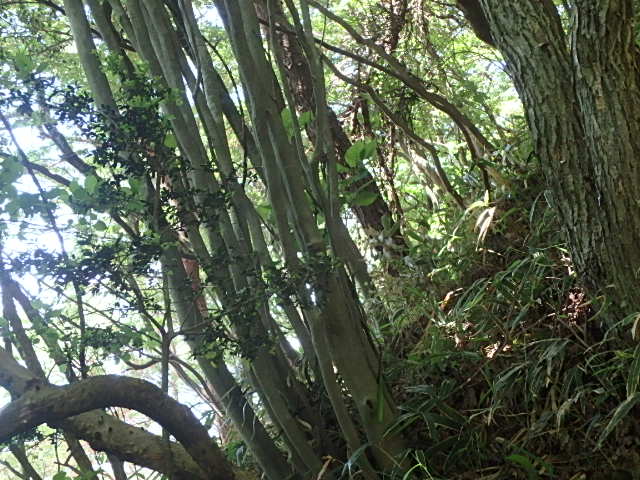 f0334143_9184898.jpg