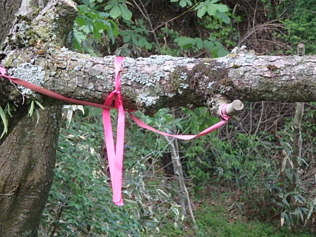 f0334143_921262.jpg