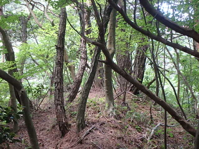 f0334143_944129.jpg