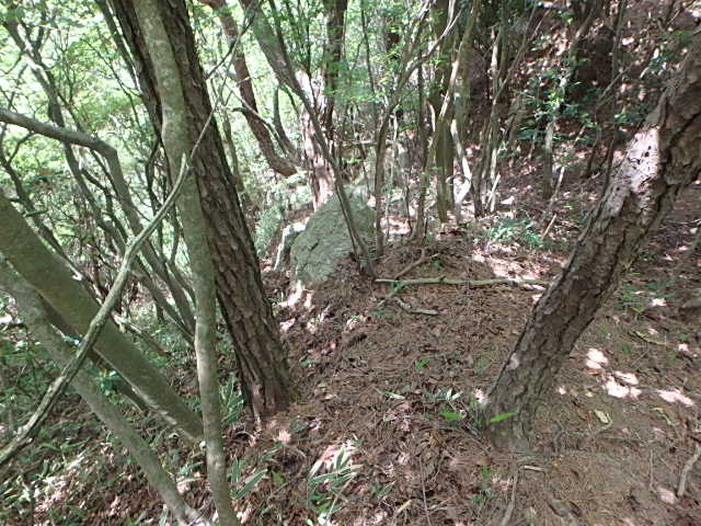 f0334143_94541.jpg