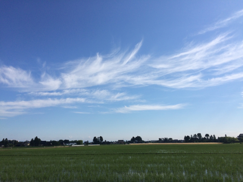 f0367148_03101765.jpg