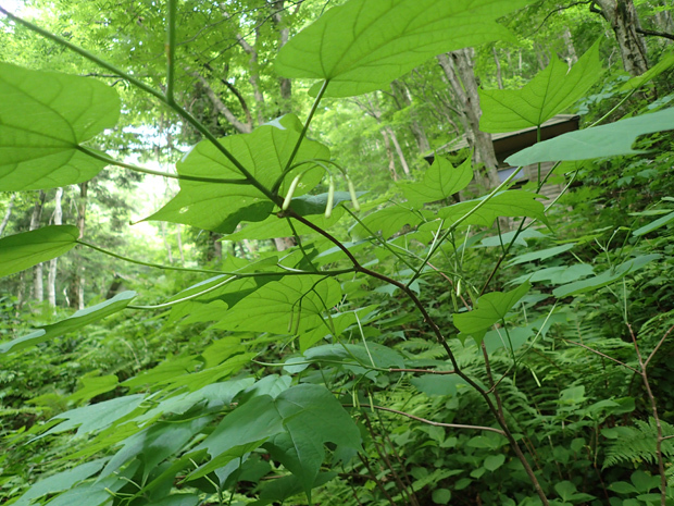 f0214649_01421229.jpg