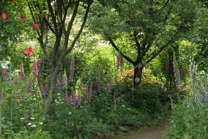 c0155950_21573719.jpg