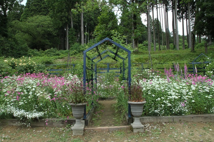 c0155950_21581452.jpg