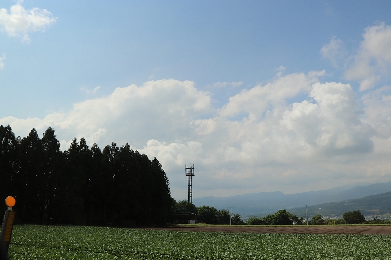 b0250154_22145868.jpg