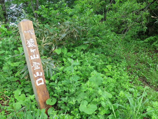 c0116856_19213949.jpg